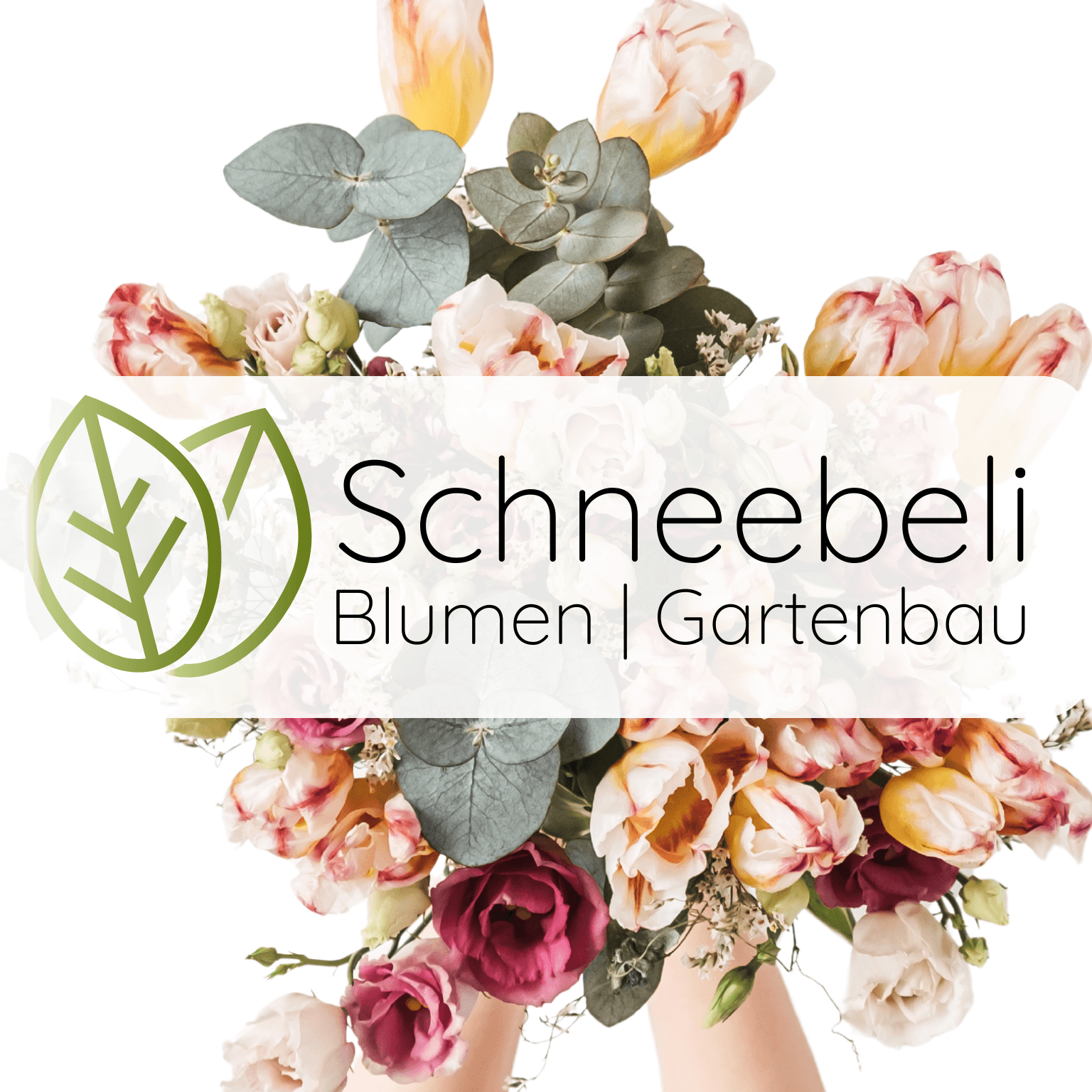 Blumen Schneebeli AG Logo