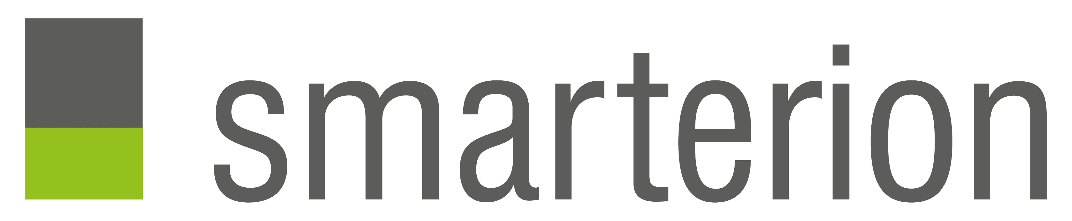 smarterion ag Logo