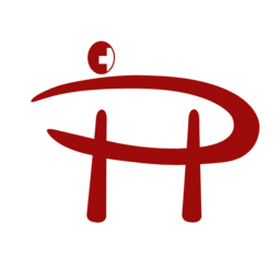 Punto Hispano Seguros y Pensiones GmbH Logo