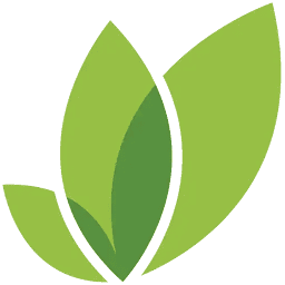 Alin Ghiorghiu Logo