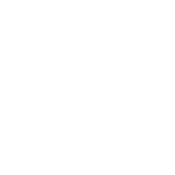 Alternative Capital Management AG Logo
