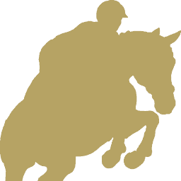 Andreas Wälti AG Logo