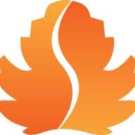 AUDYVA - Pascal BUYCK Logo