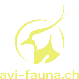 avi-fauna GmbH Logo