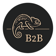 B2B Coaching by Boris Brändli Logo