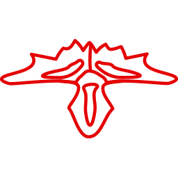 Baumgartner Service Sàrl Logo
