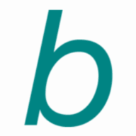 baurassistance Bernhard Baur Logo