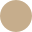 BEYOND FOUNDATION Logo