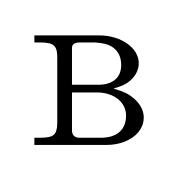 Bickgut Weine AG Logo