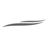 BIOSSUN Suisse SA Logo