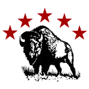 Bison GmbH Logo