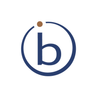 braunimpuls GmbH Logo