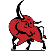 Bulls Pub Sàrl Logo