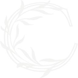 Caress the World Sàrl Logo