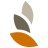 CFM Center for Mindfulness.ch GmbH Logo