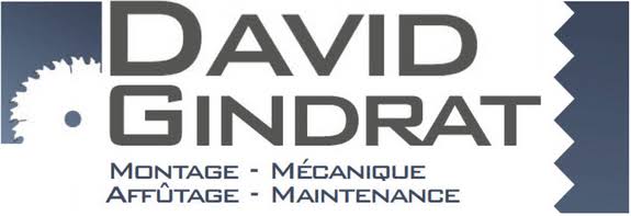 David Gindrat Logo