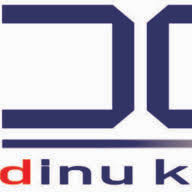 dcons Dinu Kaiser Consulting Logo