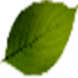 Dioniso Prodotti Naturali SA Logo