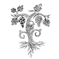 Domaine Samuel Forestier SA Logo