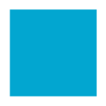 Dr. Priska Erni, Chiropraktorin SCG/ECU Logo