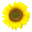 DR ZIVKOVIC Logo