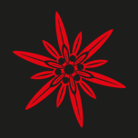 Edelweiss Market Sion-Région Sàrl Logo