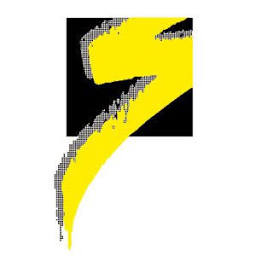 Elektro Sonderer AG Logo