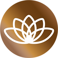 Esonova SA Logo