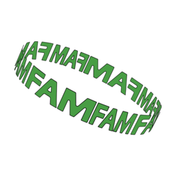 FAMFAM AG Logo