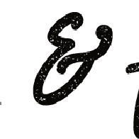 fein & fine gmbh Logo