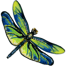 Fiona-K & CD-Studio AG Logo