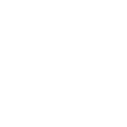 FIRE SYSTEM SA, succursale de Savigny Logo