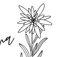 Fluors e laina, Inh. Tschander Logo