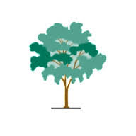 Gartenbau A. Hoti GmbH Logo