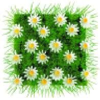 Garten Eden GmbH Logo