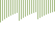 GASSER rebbauliche Lohnarbeiten GmbH Logo