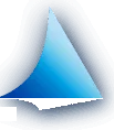 GBS Widmer GmbH Logo