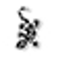Gecko Services Sàrl Logo