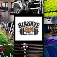 GIGANTEGYM Glauser Logo