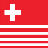 Ginova Electronics AG Logo