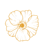 Haimisch AG Logo