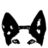 Hundezentrum Bern GmbH, Muri bei Bern Logo