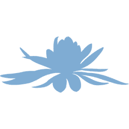 Hypsos Sàrl Logo