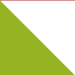 IMMIS Sàrl Logo