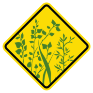 Invaphyt GmbH Logo
