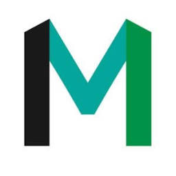 Isler Management International Logo