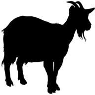 Jucker Farmart Expo GmbH Logo