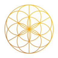Life Flow GE Sàrl Logo