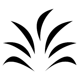 Liza.network AG Logo