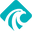 LIZARD SPORT AG Logo